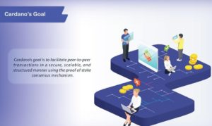 Cardano 2
