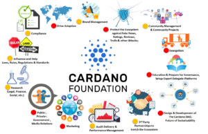 Cardano 5