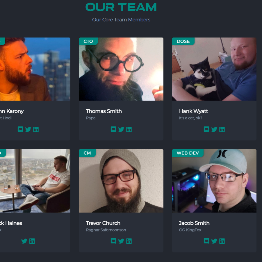 https://safemoon.net/#team
